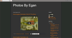 Desktop Screenshot of photosbyegan.blogspot.com