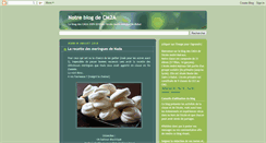 Desktop Screenshot of notreblogcm2a.blogspot.com