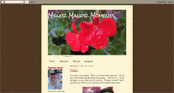 Desktop Screenshot of millermanormoments.blogspot.com