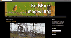 Desktop Screenshot of bedsbirds.blogspot.com