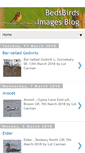 Mobile Screenshot of bedsbirds.blogspot.com