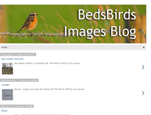 Tablet Screenshot of bedsbirds.blogspot.com