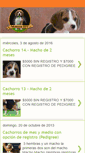 Mobile Screenshot of beagleshgg.blogspot.com