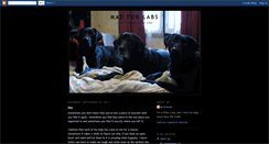 Desktop Screenshot of madforlabsri.blogspot.com