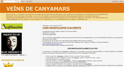 Desktop Screenshot of canyamarsveins.blogspot.com