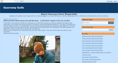Desktop Screenshot of guernseygulls.blogspot.com
