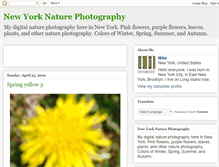 Tablet Screenshot of newyork-nature-photography.blogspot.com