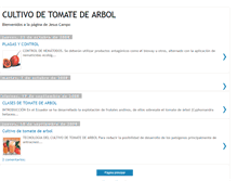 Tablet Screenshot of cultivotomatejesus.blogspot.com
