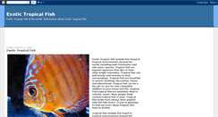 Desktop Screenshot of exotictropicalfish.blogspot.com