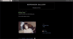 Desktop Screenshot of bspringer.blogspot.com