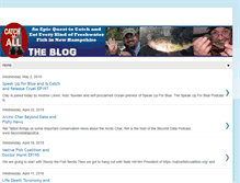 Tablet Screenshot of catchthemallnh.blogspot.com