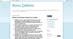 Desktop Screenshot of burcucelikors.blogspot.com