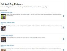 Tablet Screenshot of catdogpictures.blogspot.com