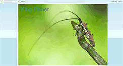 Desktop Screenshot of kingfisherphotography.blogspot.com