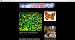 Desktop Screenshot of lucidmz.blogspot.com