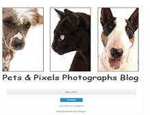 Tablet Screenshot of pets-pixels.blogspot.com