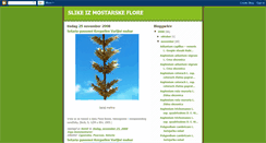 Desktop Screenshot of floramostara.blogspot.com