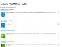 Tablet Screenshot of floramostara.blogspot.com