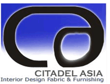 Tablet Screenshot of citadel-asia.blogspot.com