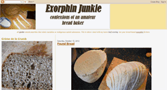 Desktop Screenshot of exorphinjunkie.blogspot.com