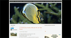 Desktop Screenshot of animalvideoclippings.blogspot.com