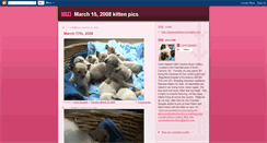 Desktop Screenshot of march152008kittenpics.blogspot.com