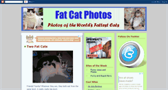 Desktop Screenshot of fat-cat-photos.blogspot.com