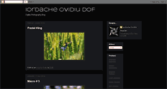 Desktop Screenshot of iordacheovidiu.blogspot.com