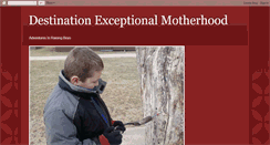 Desktop Screenshot of destinationexceptionalmotherhood.blogspot.com