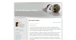 Desktop Screenshot of frombumptobaby.blogspot.com