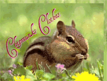 Tablet Screenshot of chipmunksclothes.blogspot.com