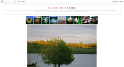 Desktop Screenshot of flore-en-valois.blogspot.com