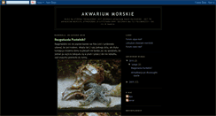 Desktop Screenshot of akwarium-morskie.blogspot.com