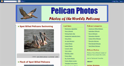 Desktop Screenshot of pelicanphoto.blogspot.com