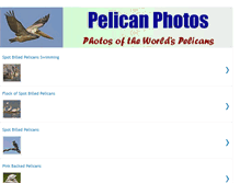 Tablet Screenshot of pelicanphoto.blogspot.com