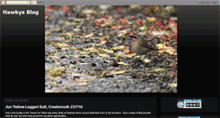 Desktop Screenshot of hawkysbirdingblog.blogspot.com