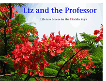Tablet Screenshot of lizandprofessor.blogspot.com