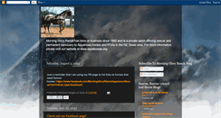 Desktop Screenshot of mgrappaloosarescue.blogspot.com