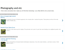Tablet Screenshot of mydslrphotos.blogspot.com