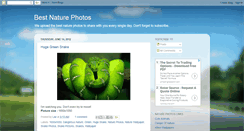 Desktop Screenshot of best-nature-photos.blogspot.com