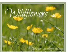 Tablet Screenshot of nbwildflowers.blogspot.com