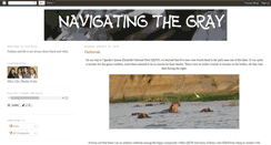 Desktop Screenshot of navigatingthegray.blogspot.com