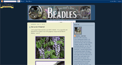 Desktop Screenshot of beadlesglass.blogspot.com