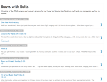 Tablet Screenshot of bouvswithbolts.blogspot.com