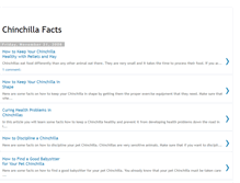 Tablet Screenshot of chinchillafacts.blogspot.com