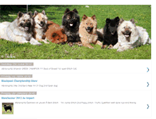 Tablet Screenshot of albionspitz.blogspot.com