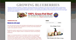Desktop Screenshot of growingblueberries.blogspot.com