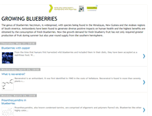 Tablet Screenshot of growingblueberries.blogspot.com