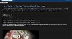 Desktop Screenshot of floradaserradaboaviagem.blogspot.com