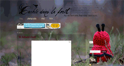 Desktop Screenshot of cacheedanslaforet.blogspot.com